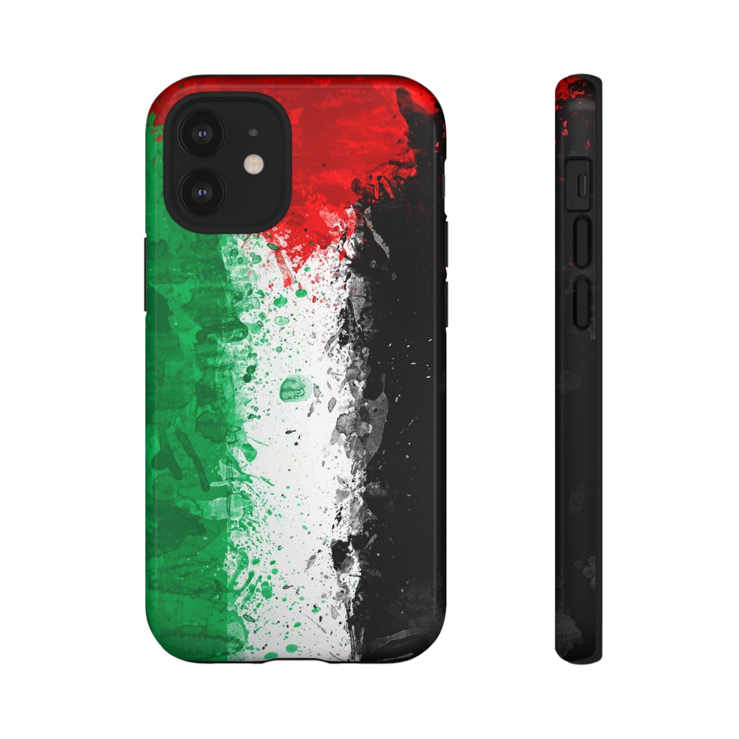 Palestine Flag: Paint Style