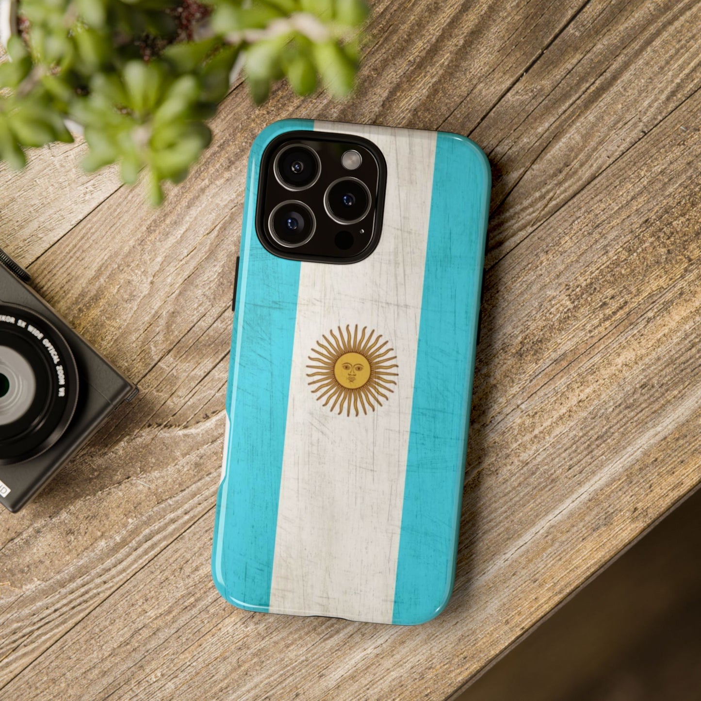Argentina Flag