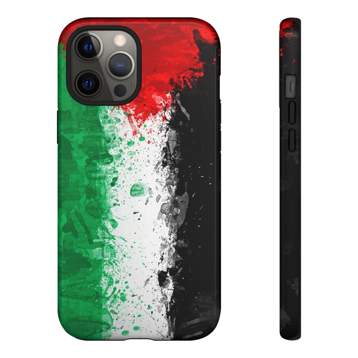 Palestine Flag: Paint Style