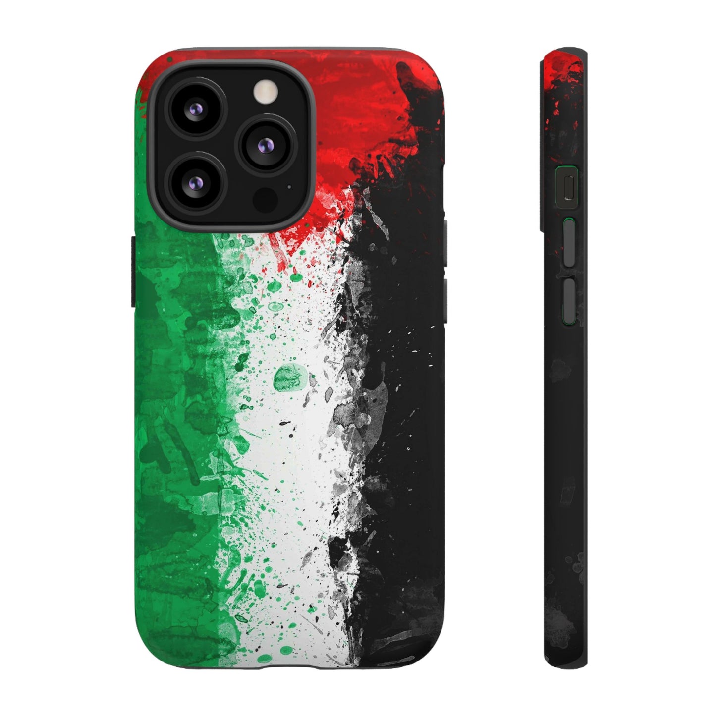 Palestine Flag: Paint Style