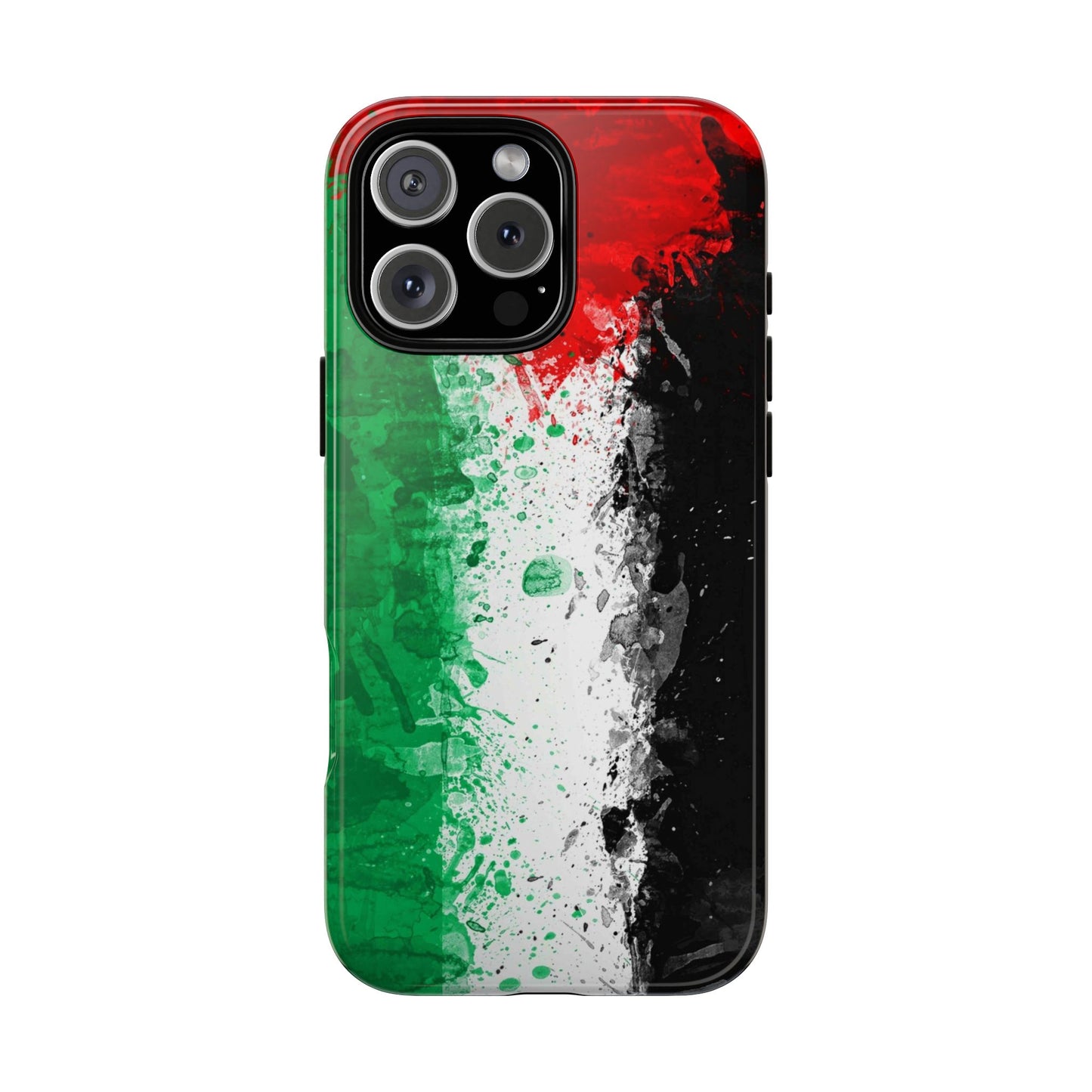 Palestine Flag: Paint Style