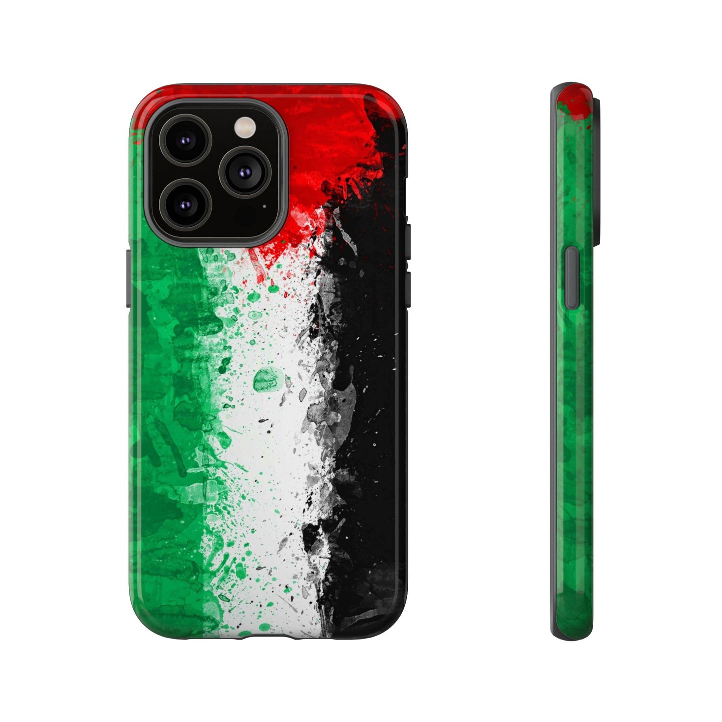 Palestine Flag: Paint Style