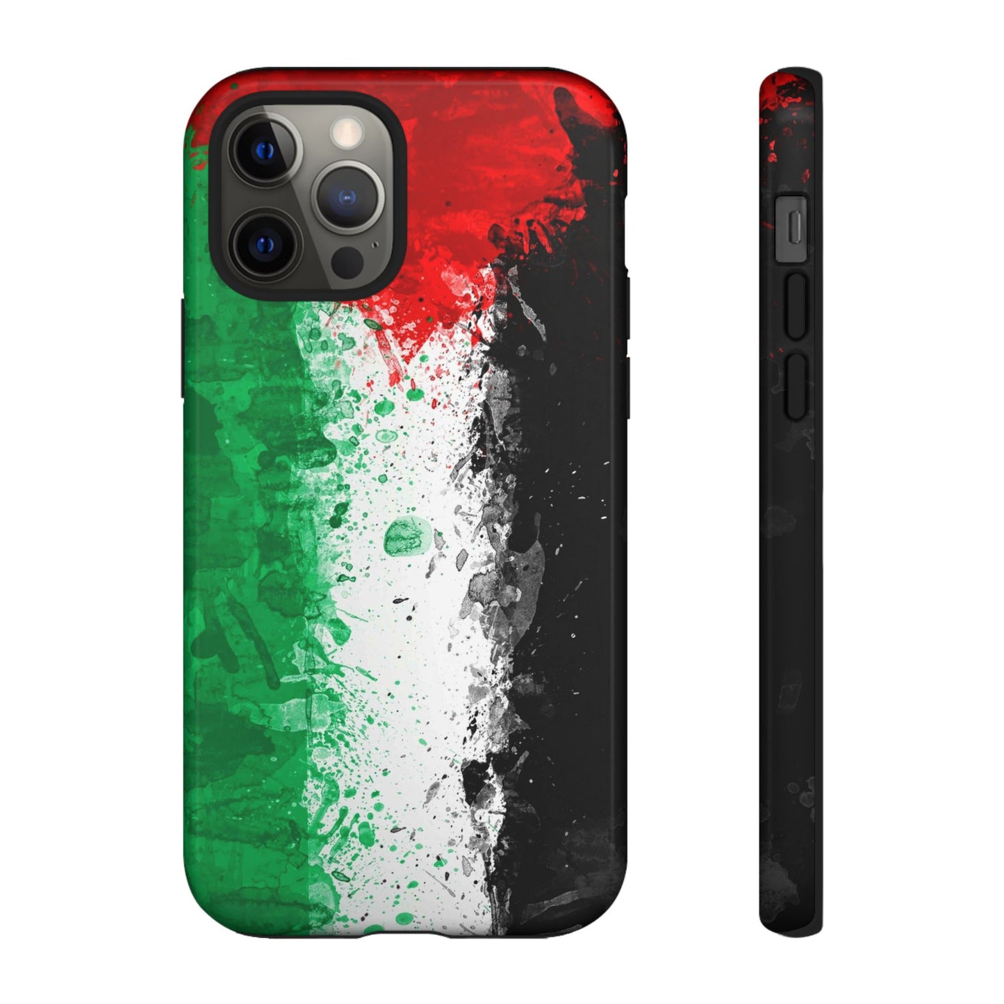 Palestine Flag: Paint Style