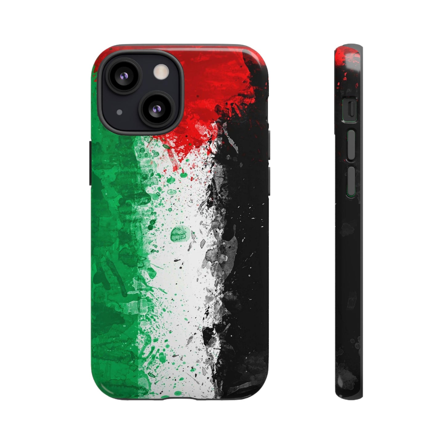 Palestine Flag: Paint Style