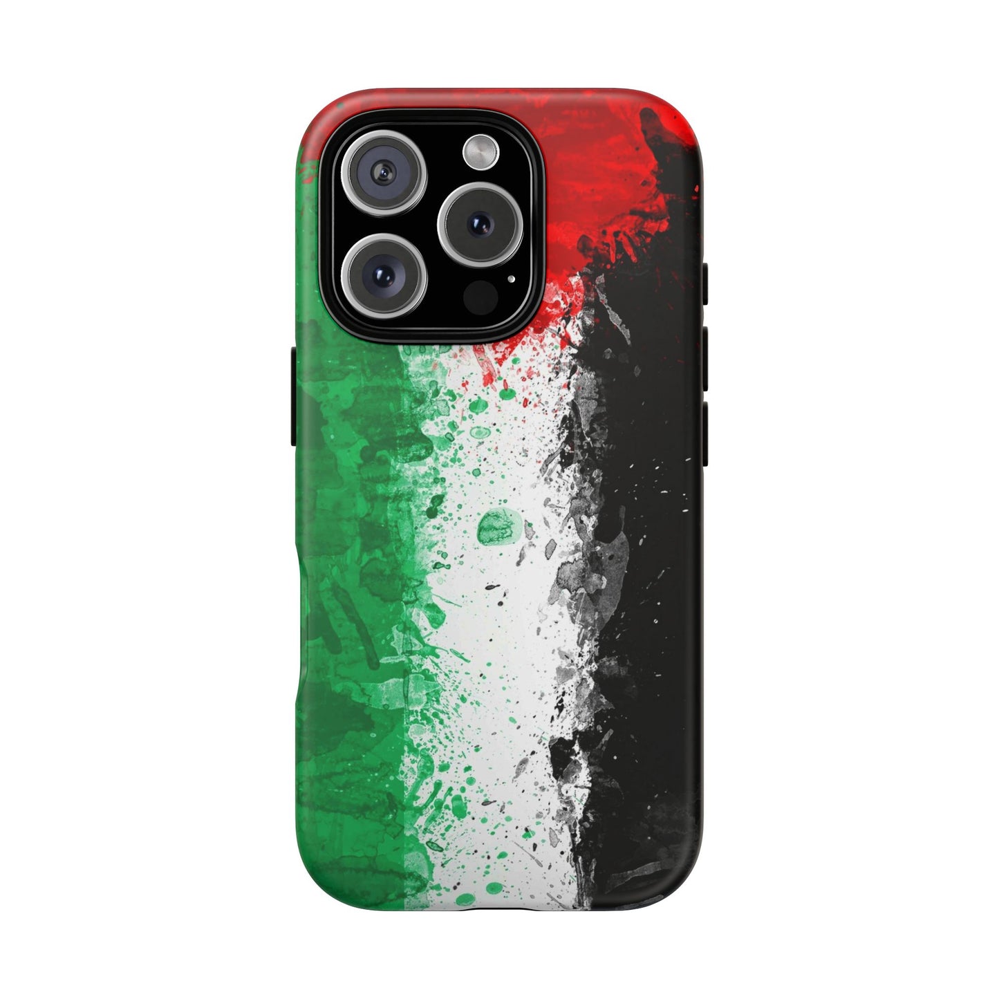 Palestine Flag: Paint Style