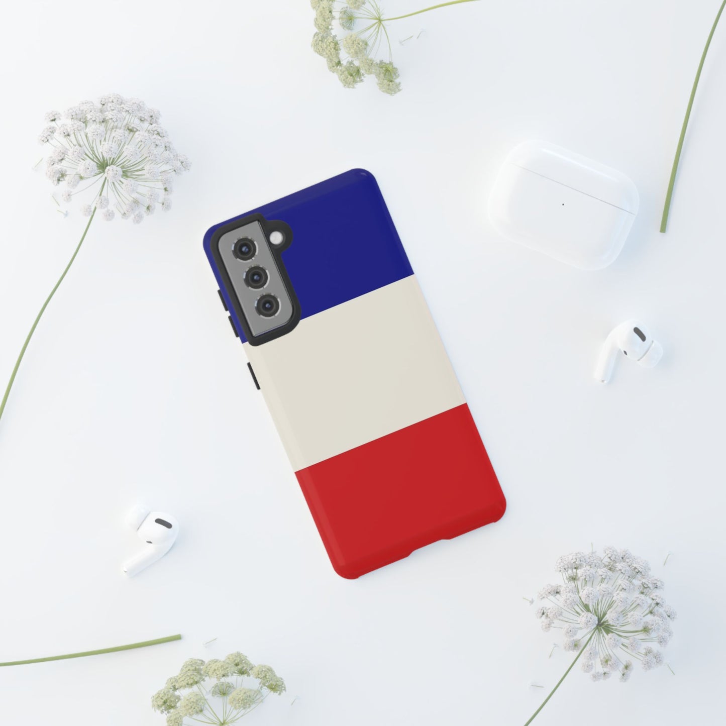 France Flag