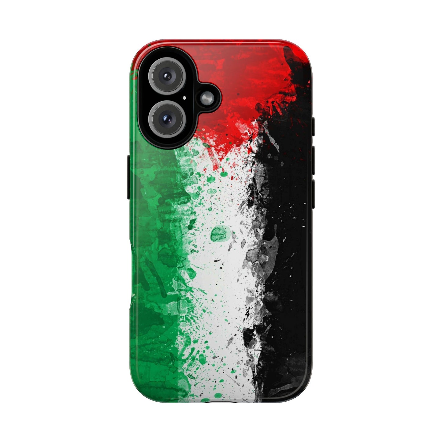 Palestine Flag: Paint Style