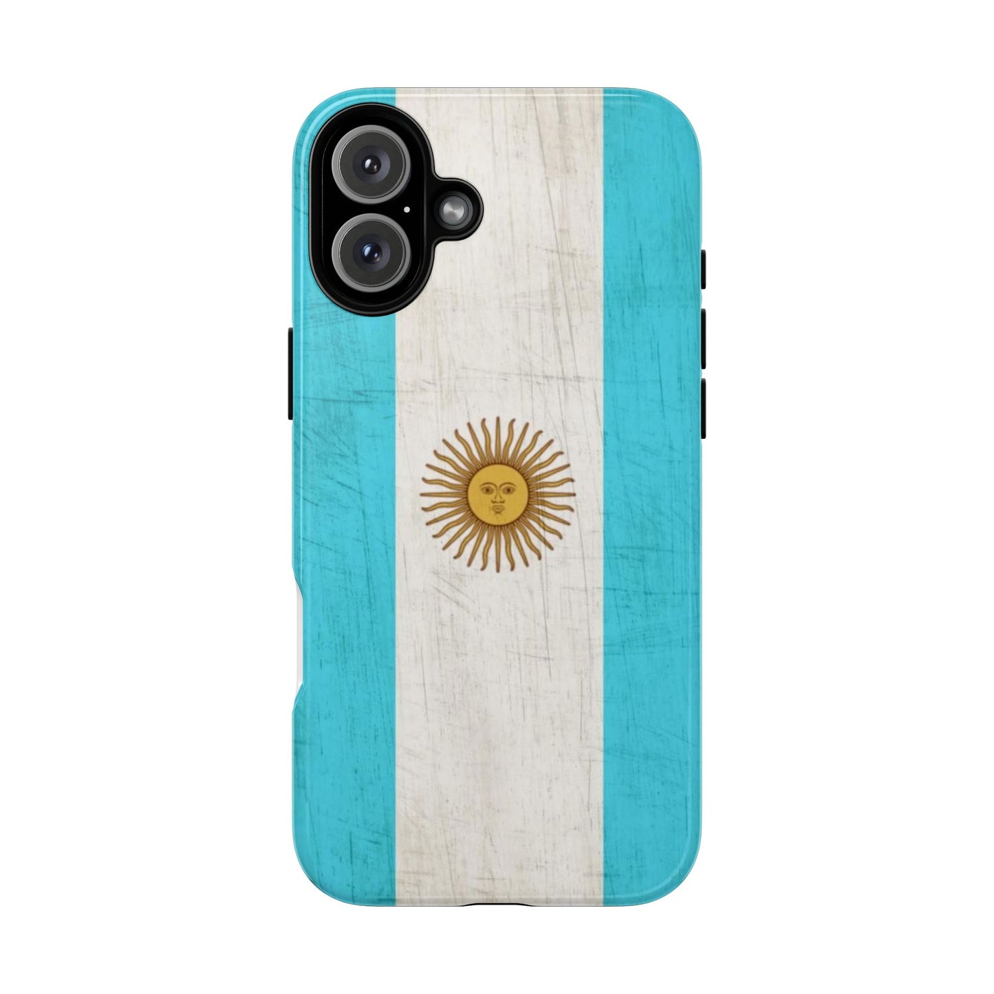 Argentina Flag