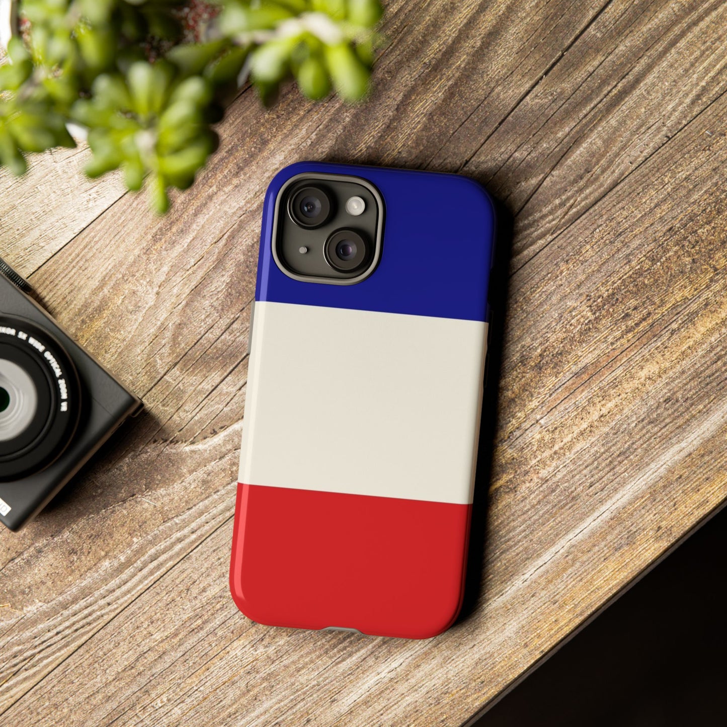 France Flag