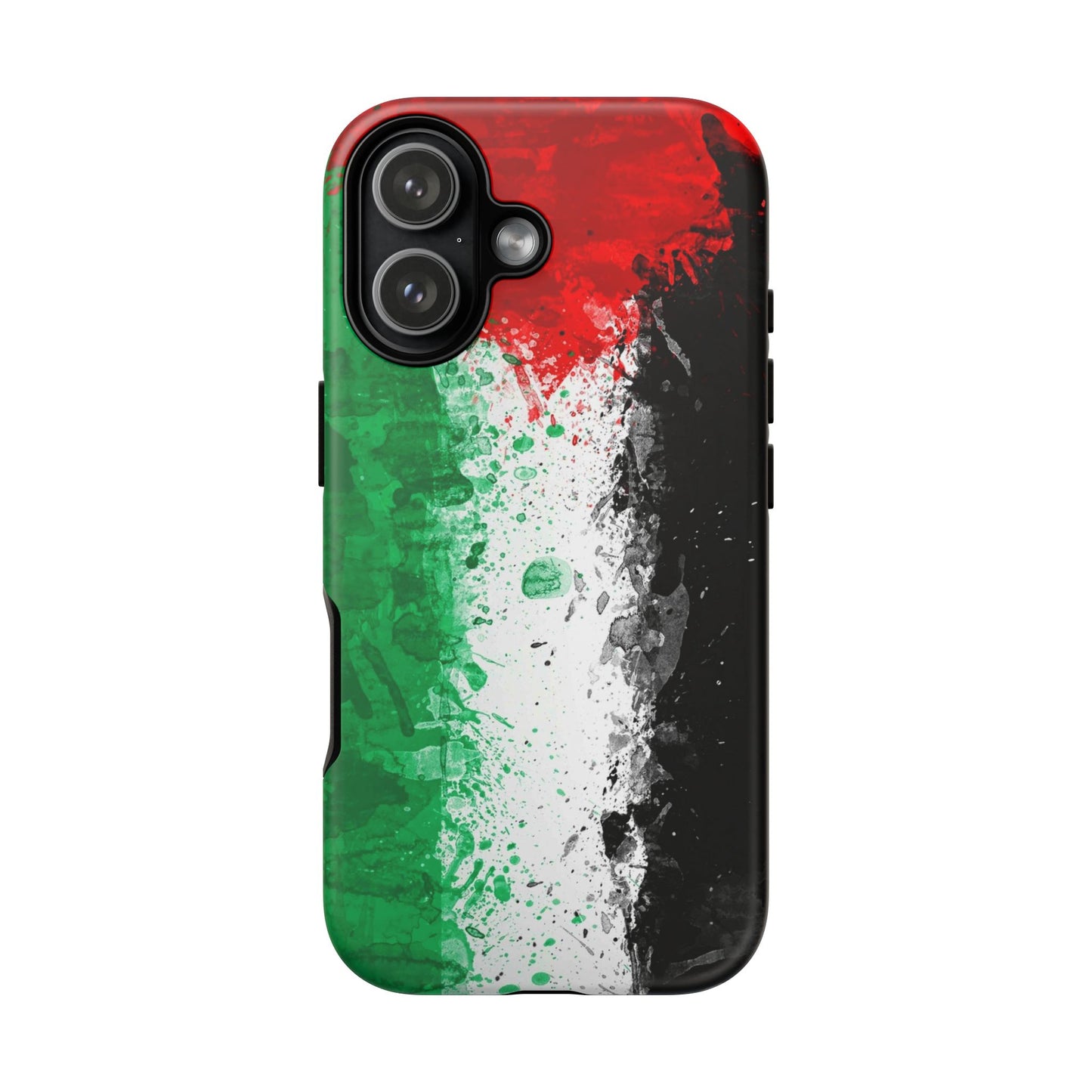 Palestine Flag: Paint Style