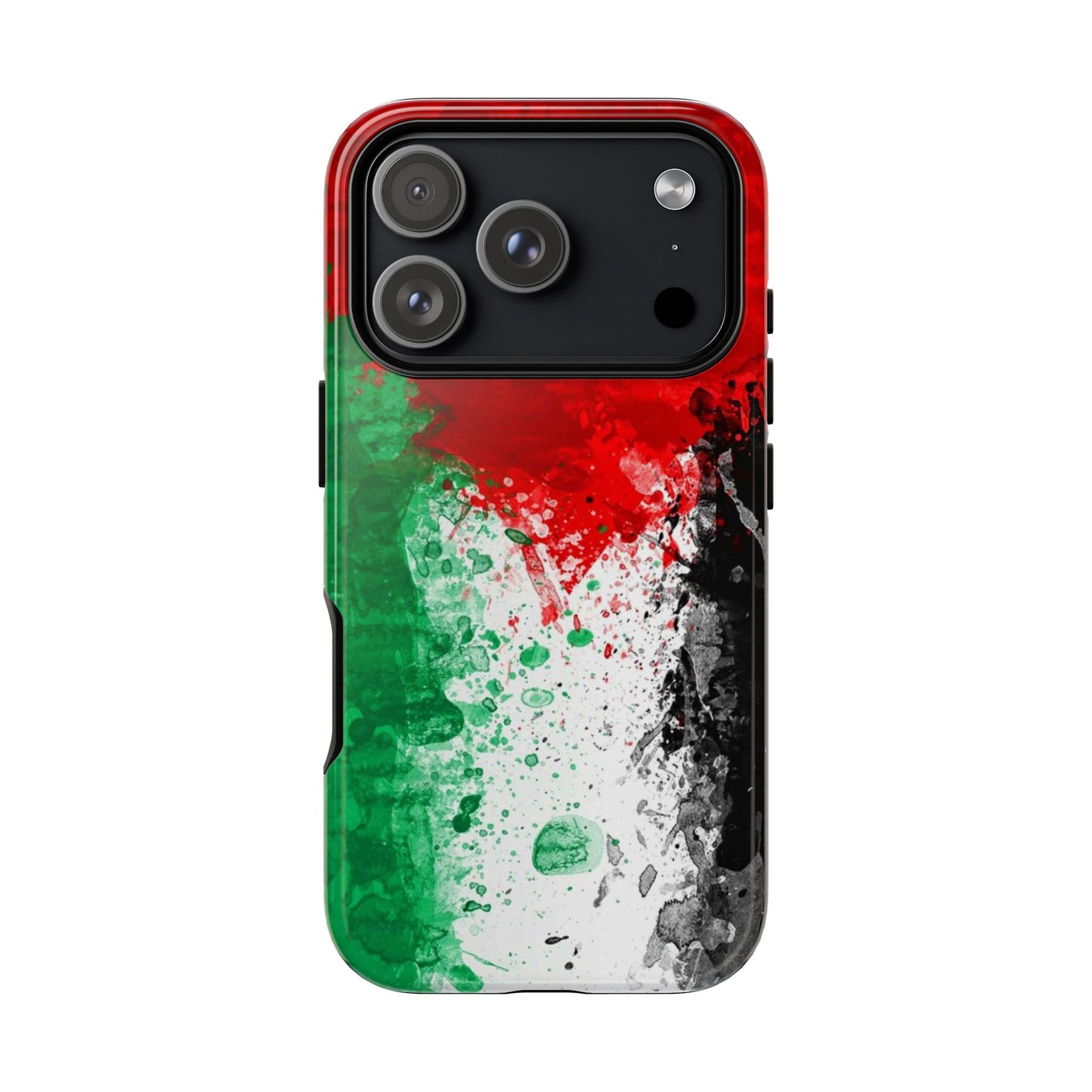 Palestine Flag: Paint Style