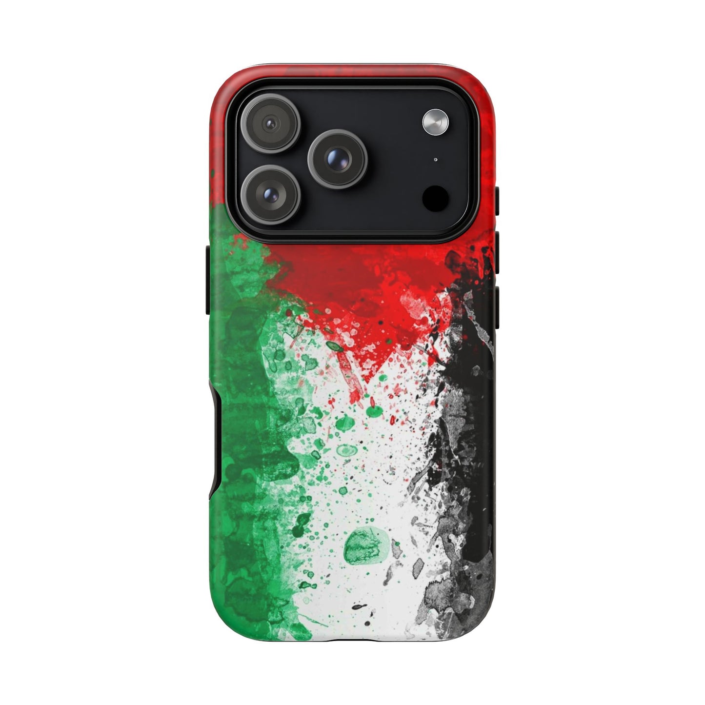 Palestine Flag: Paint Style