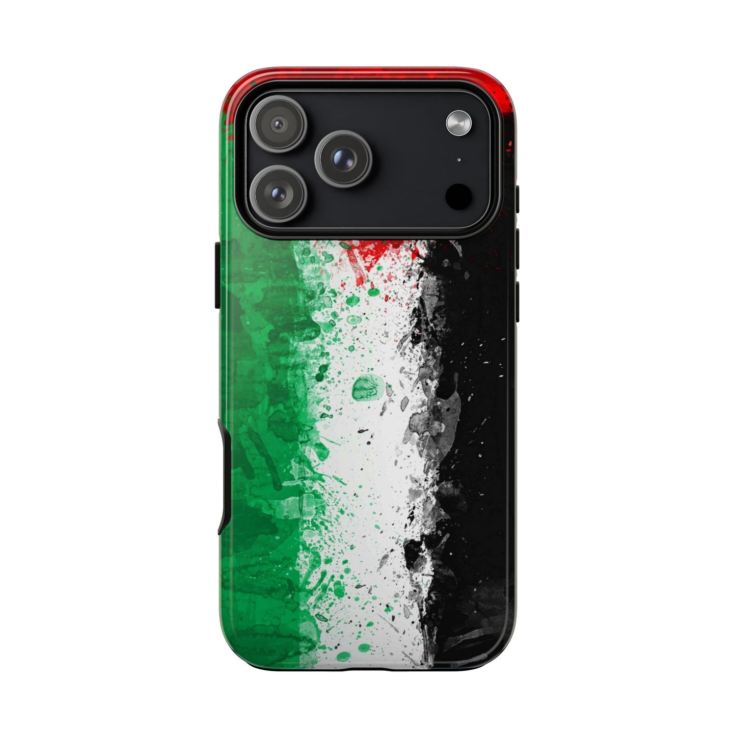Palestine Flag: Paint Style