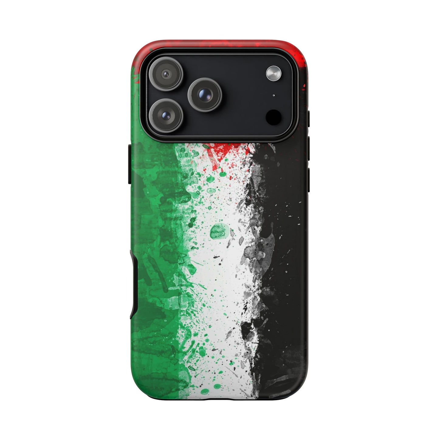Palestine Flag: Paint Style